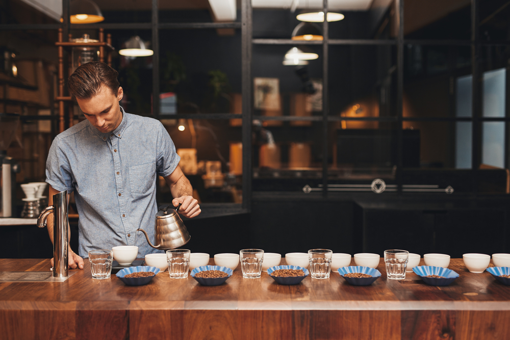 Understanding Roast-to-Cup Differences through Profile Translation Analysis